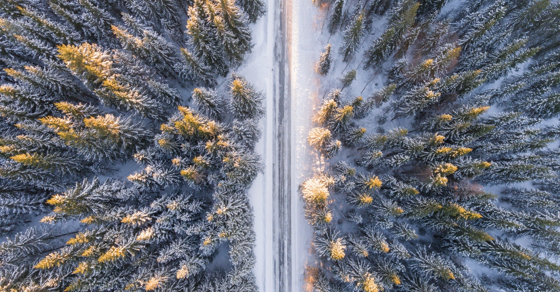 pexels-photo-351448-min